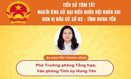 Tiểu sử và chương trình hành động của  người ứng cử đại biểu Quốc hội khóa XVI: Bà Nguyễn Thanh Hằng