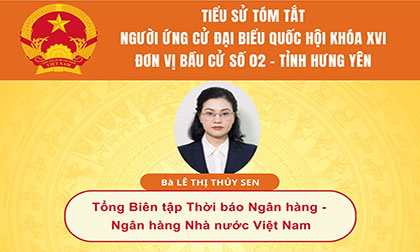 Tiểu sử và chương trình hành động của  người ứng cử đại biểu Quốc hội khóa XVI: Bà Lê Thị Thúy Sen