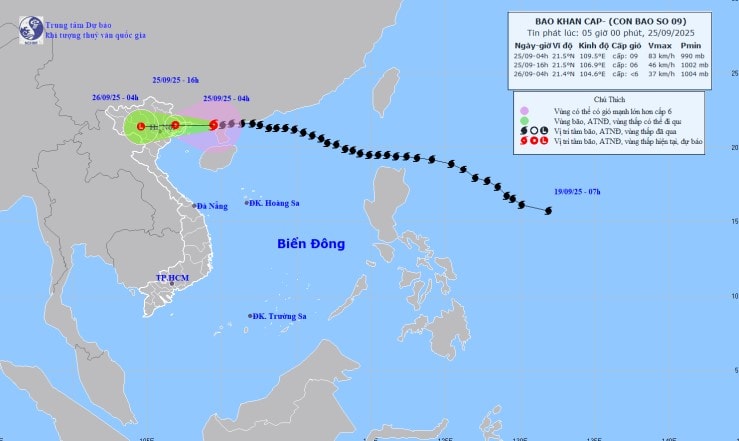 Cập nhật: Bão số 9 Ragasa giật cấp 10, cách Móng Cái (Quảng Ninh) khoảng 100km