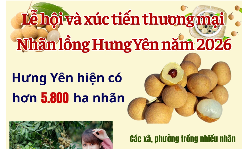Lễ hội và xúc tiến thương mại nhãn lồng Hưng Yên năm 2026