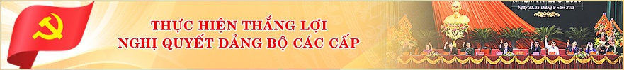 Banner 2
