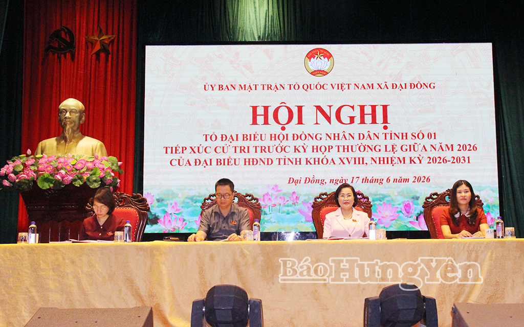 Cử tri xã Đại Đồng kiến nghị đầu tư nâng cấp hạ tầng giao thông, hệ thống thủy lợi