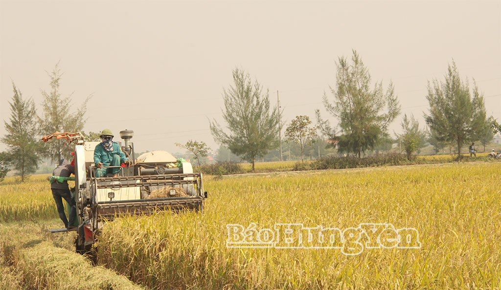 Giải quyết kịp thời ý kiến, kiến nghị của cử tri