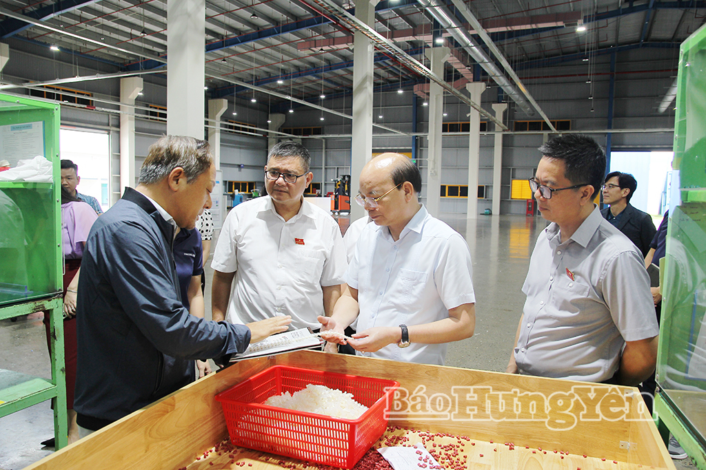 Ban Kinh tế - Ngân sách HĐND tỉnh giám sát tại Công ty Cổ phần Quản lý Khu công nghiệp Ecoland và Công ty TNHH Đầu tư và Phát triển Khu công nghiệp VTK